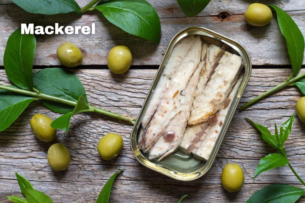 example-of-mackerel