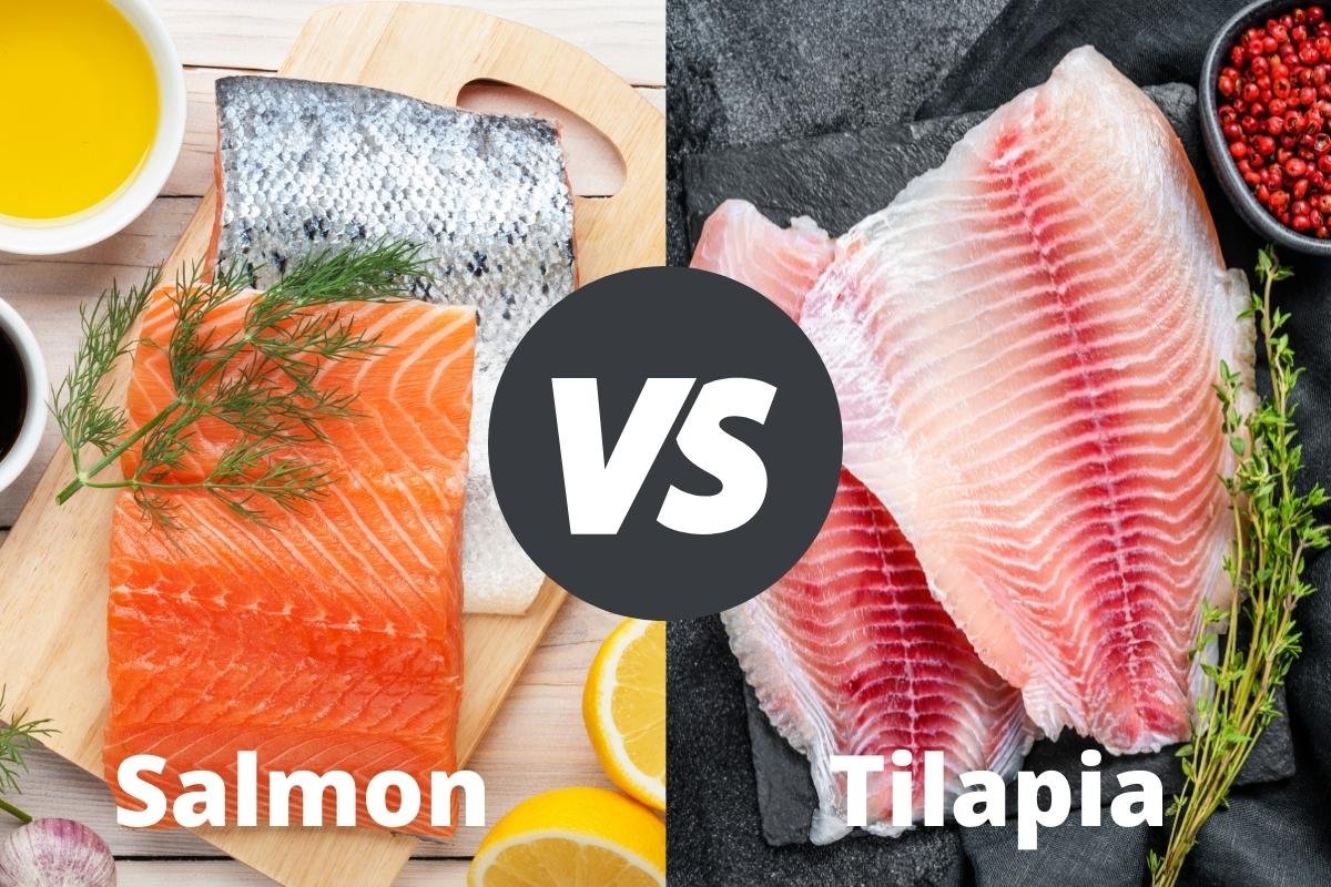 salmon-vs-tilapia